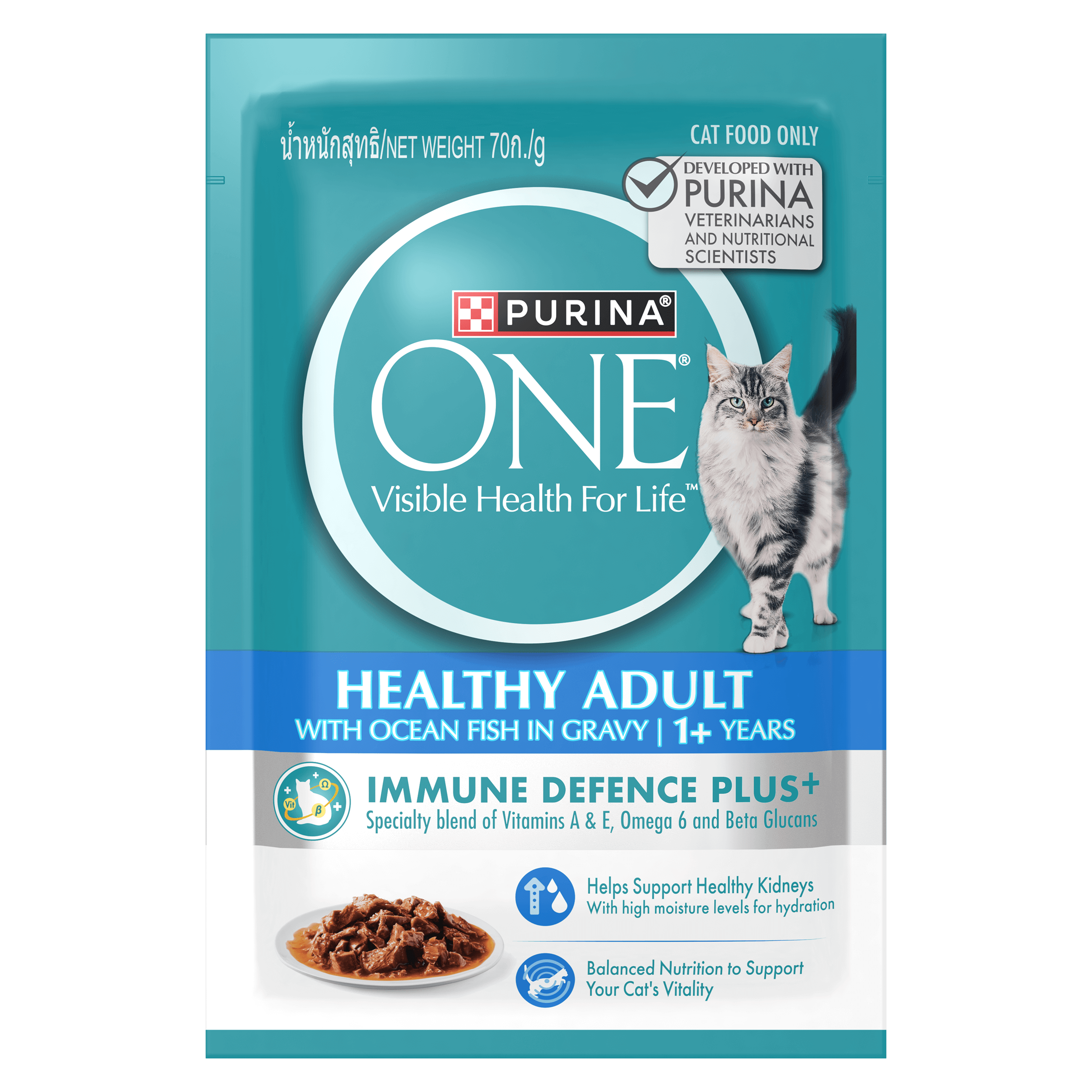 Cat food with high water content best sale